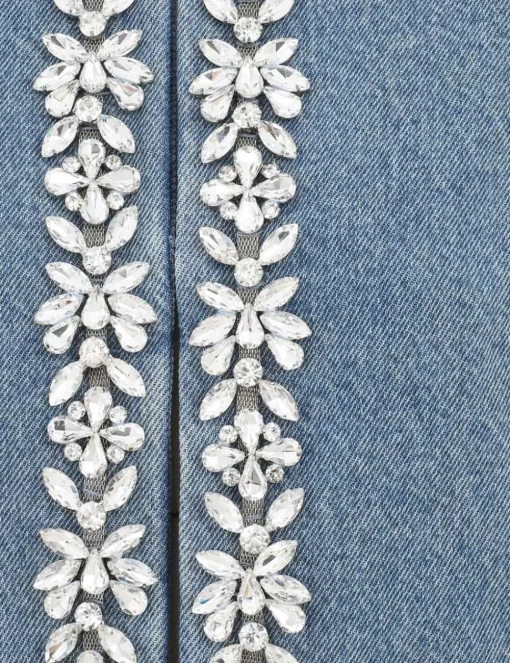Crush Embellished Denim Jacket