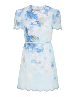 Crush Scalloped Shift Dress
