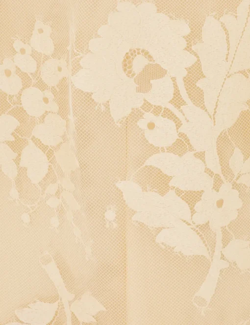 Illustration Lace Blouse