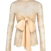 Illustration Lace Bow Bodice