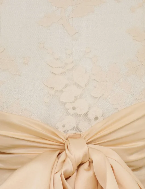 Illustration Lace Bow Bodice