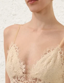 Illustration Lace Teddy