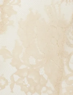 Illustration Lace Teddy