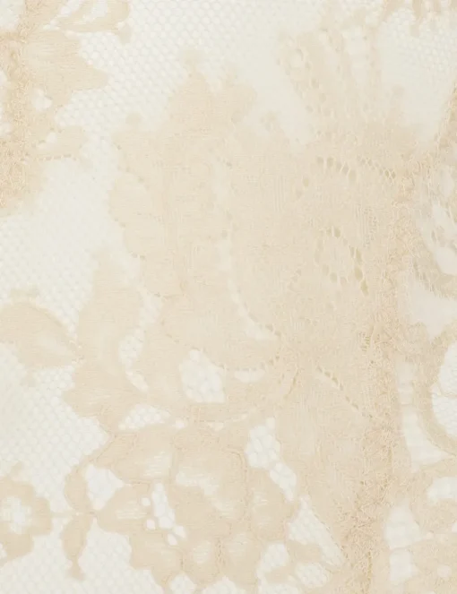 Illustration Lace Teddy
