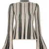 Illustration Metallic Knit Top