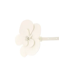 Orchid Patent Belt 10