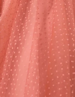 Tulle Skirt