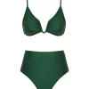 Wylie Plunge Wire Bikini