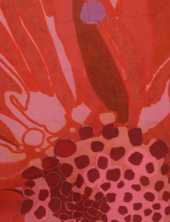 Zimmermann (RED) Summer Set